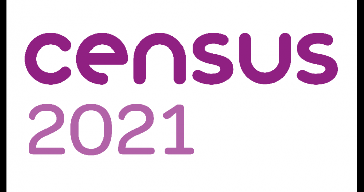 Census 2021 logo